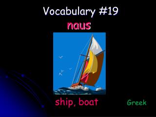 Vocabulary #19