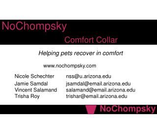 NoChompsky Comfort Collar