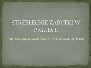 STRZELECKIE ZABYTKI W PIGUŁCE