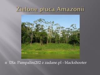 Zielone płuca Amazonii