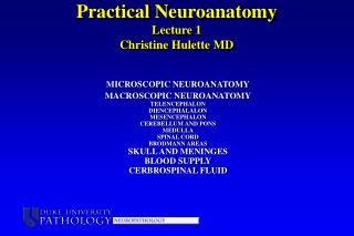 Practical Neuroanatomy Lecture 1 Christine Hulette MD