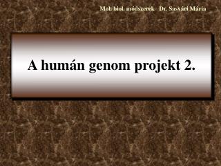 A humán genom projekt 2.