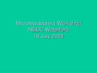 Microlepidoptera Workshop NBDC Waterford 18 July 2009