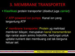 3. MEMBRANE TRANSPORTER