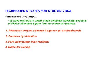 TECHNIQUES &amp; TOOLS FOR STUDYING DNA