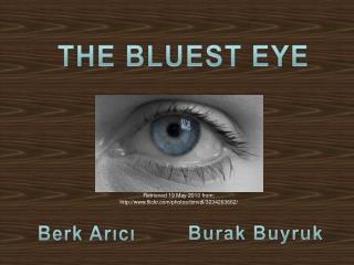 THE BLUEST EYE