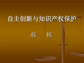 自主创新与知识产权保护