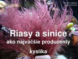 Riasy a sinice ako najv äčšie producenty kyslíka