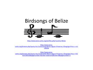 Birdsongs of Belize