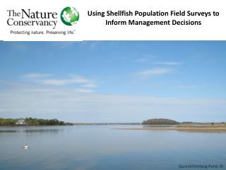 Using Shellfish Population Field Surveys to Inform Management Decisions