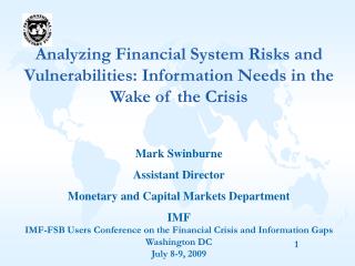 Analyzing Financial System Risks and Vulnerabilities: Information Needs in the Wake of the Crisis