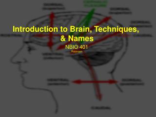 Introduction to Brain, Techniques, &amp; Names