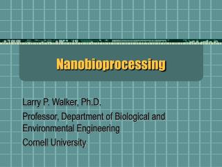 Nanobioprocessing