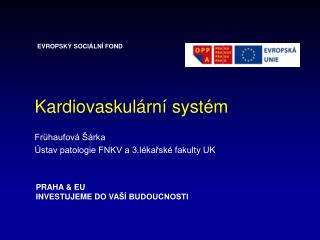 Kardiovaskulární systém Frühaufová Šárka Ústav patologie FNKV a 3.lékařské fakulty UK