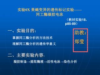 实验 0X 果蝇变异的遗传标记实验 —— 同工酶凝胶电泳