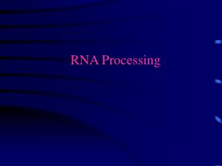 RNA Processing