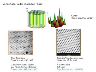 Vortex-Gitter in der Shubnikov-Phase