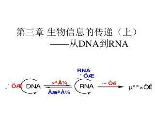 第三章 生物信息的传递（上） —— 从 DNA 到 RNA