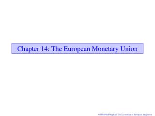 Chapter 14: The European Monetary Union
