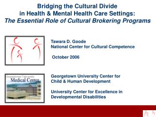 Bridging the Cultural Divide in Health &amp; Mental Health Care Settings: