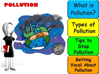 What is Pollution ?