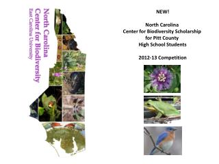 NEW! North Carolina Center for Biodiversity Scholarship for Pitt County High School Students