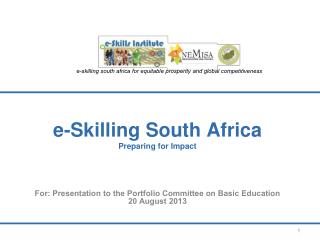 e-Skilling South Africa Preparing for Impact