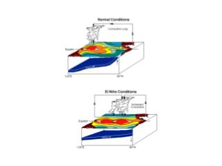 ENSO Winter Precipitation (cm/month)