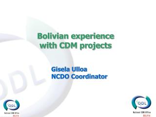 Bolivian experience with CDM projects