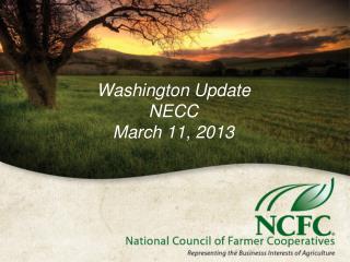 Washington Update NECC March 11, 2013