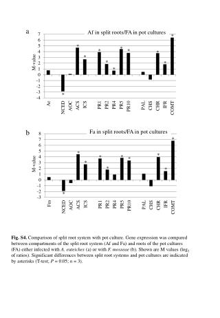 Af in split roots /FA in pot cultures