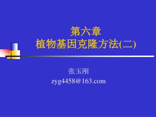 张玉刚 zyg4458@163