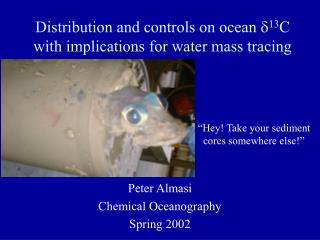 Distribution and controls on ocean  13 C with implications for water mass tracing