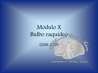 Módulo X Bulbo raquídeo