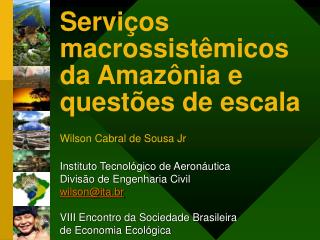Serviços macrossistêmicos da Amazônia e questões de escala