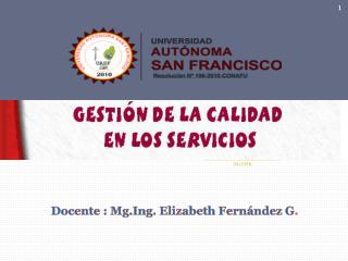 Docente : Mg.Ing . Elizabeth Fernández G .