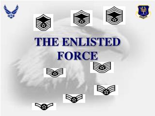 THE ENLISTED FORCE