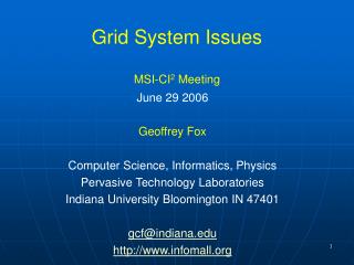 Grid System Issues MSI-CI 2 Meeting