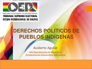 DERECHOS POLÍTICOS DE PUEBLOS INDÍGENAS