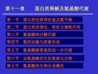 第十一章 蛋白质降解及氨基酸代谢