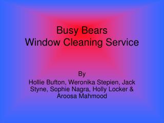 Busy Bears Window Cleaning Service