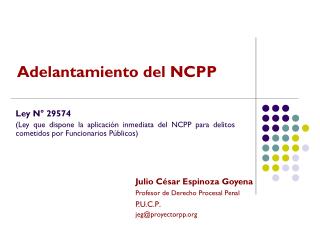 Julio César Espinoza Goyena Profesor de Derecho Procesal Penal P.U.C.P . jeg@proyectorpp