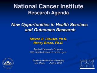 National Cancer Institute Research Agenda