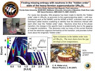 Finding missing entropy with neutrons in the “hidden order”