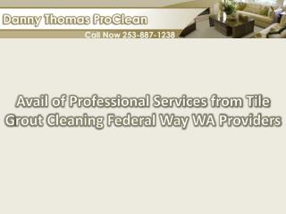 Avail of professional services from tile grout cleaning Fede