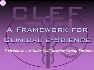 A Framework for Clinical e-Science