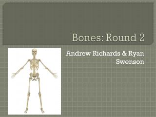 Bones: Round 2