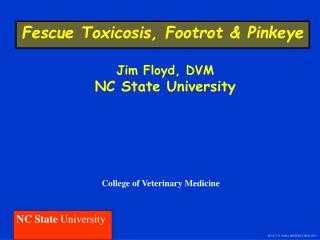 Fescue Toxicosis, Footrot &amp; Pinkeye