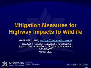 Mitigation Measures for Highway Impacts to Wildlife