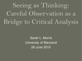 Seeing as Thinking: Careful Observation as a Bridge to Critical Analysis